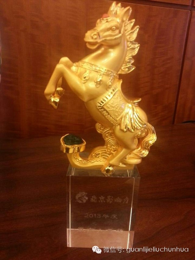 華商智業(yè)劉春華老師獲2013年“北影”“最具人氣”獎