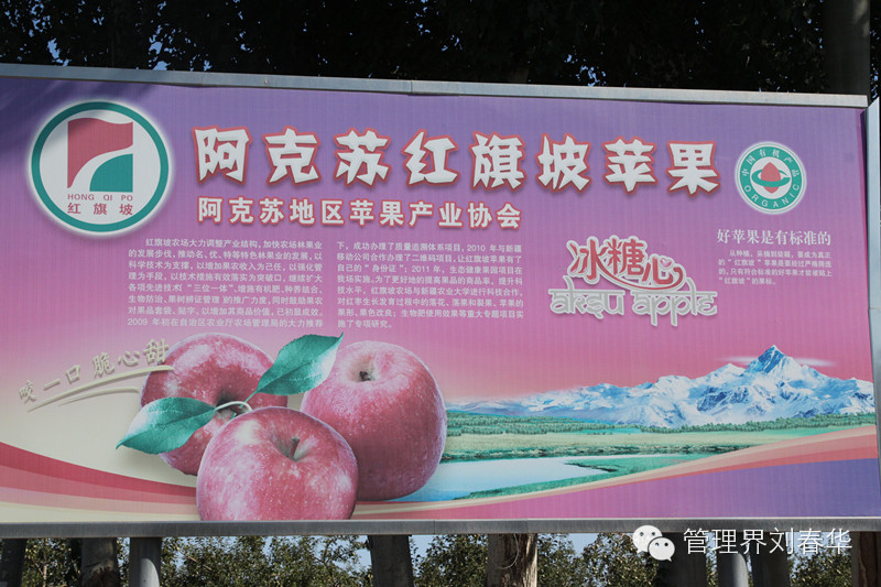 華商智業(yè)專家團聯(lián)合中國品牌促進會走進阿克蘇（上）