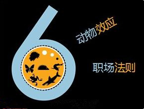這些動物效應、職場法則你都明白嗎？